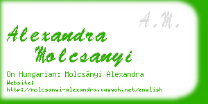 alexandra molcsanyi business card