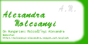 alexandra molcsanyi business card